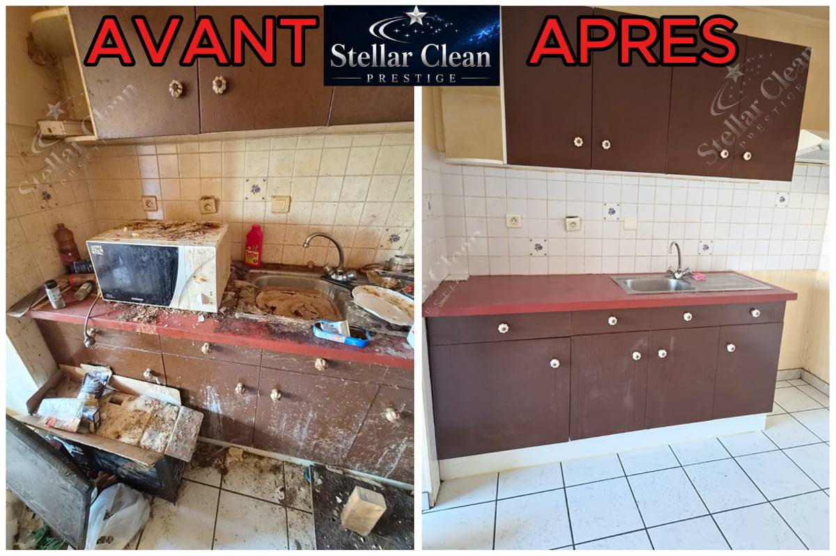 remise en etat d'un logement diogène