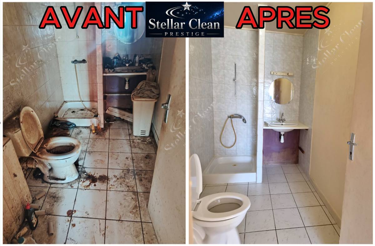 remise en etat d'un logement diogène